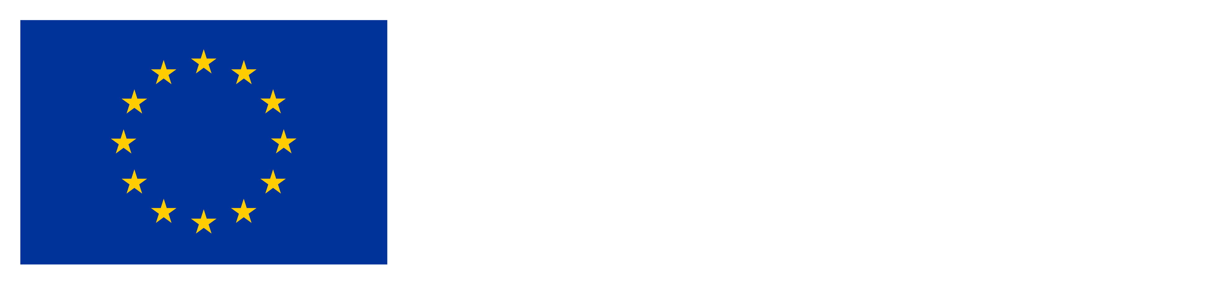 Gefinancierd door de Europese Unie
