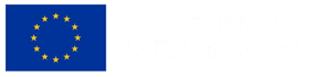 Gefinancieerd door de Europese Unie